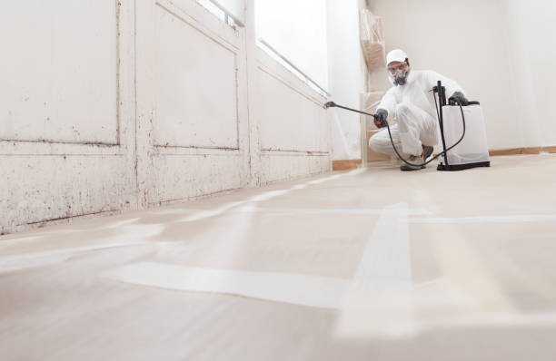 24/7 Emergency Black Mold Removal experts in McLean, VA