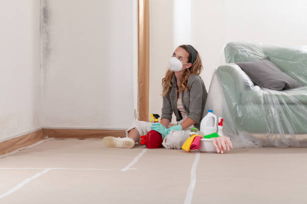 Reliable Black Mold Removal contractor in McLean, VA by WQB Mold Removal